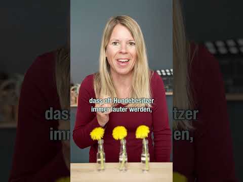 Positioniere Dich als Expertin mit diesen einfachen Videos.